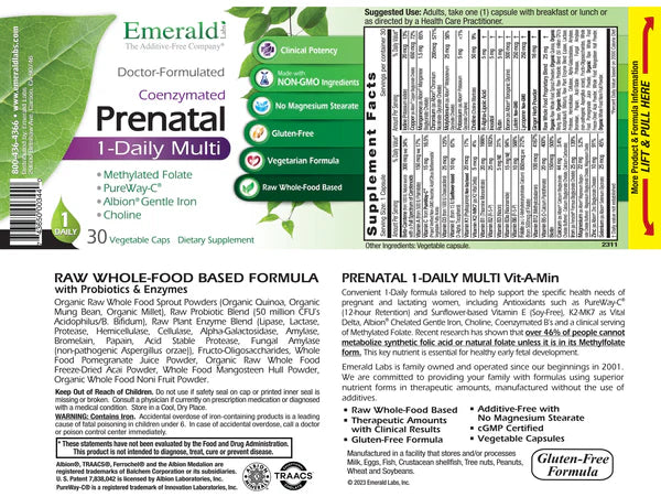 Prenatal 1-Daily Multi