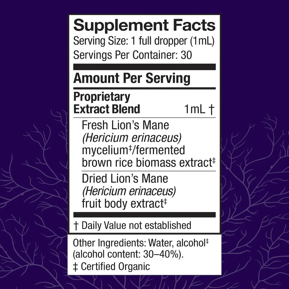 Lion's Mane Mushroom Extract