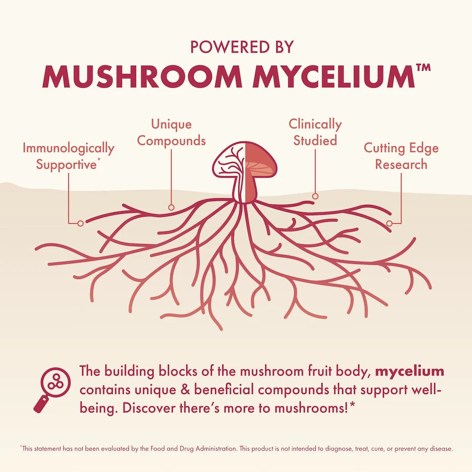 Beauty Mushroom Mycelium Complex