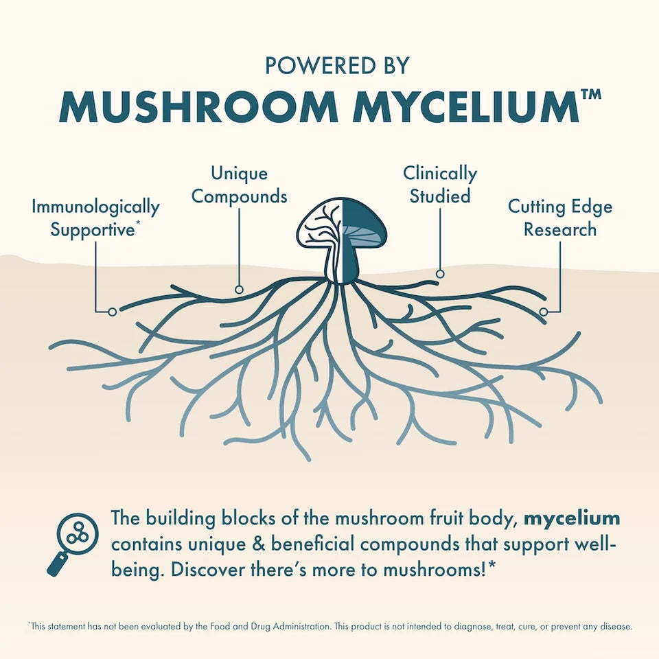 Mood Mushroom Mycelium Complex