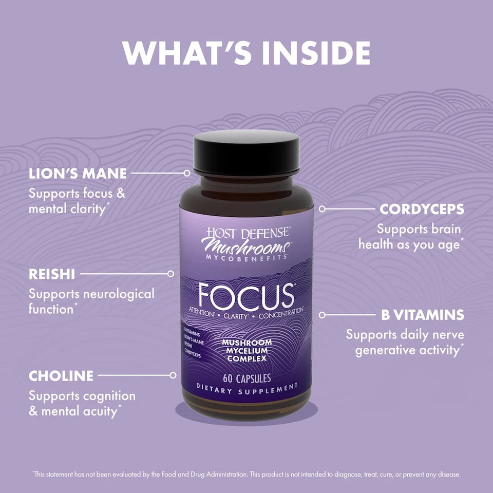 Focus Mushroom Mycelium Complex