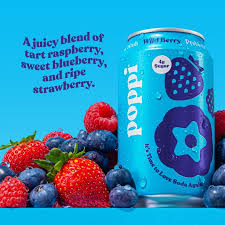 Wild Berry Prebiotic Drink