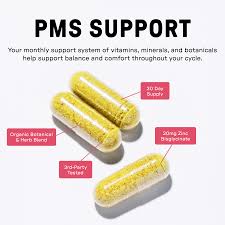 Womens Pms Support