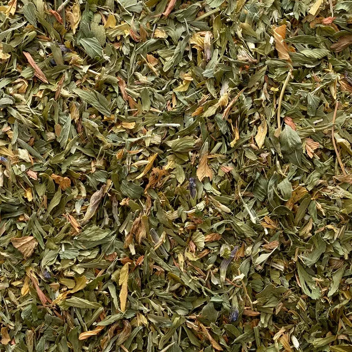 Alfalfa Leaf