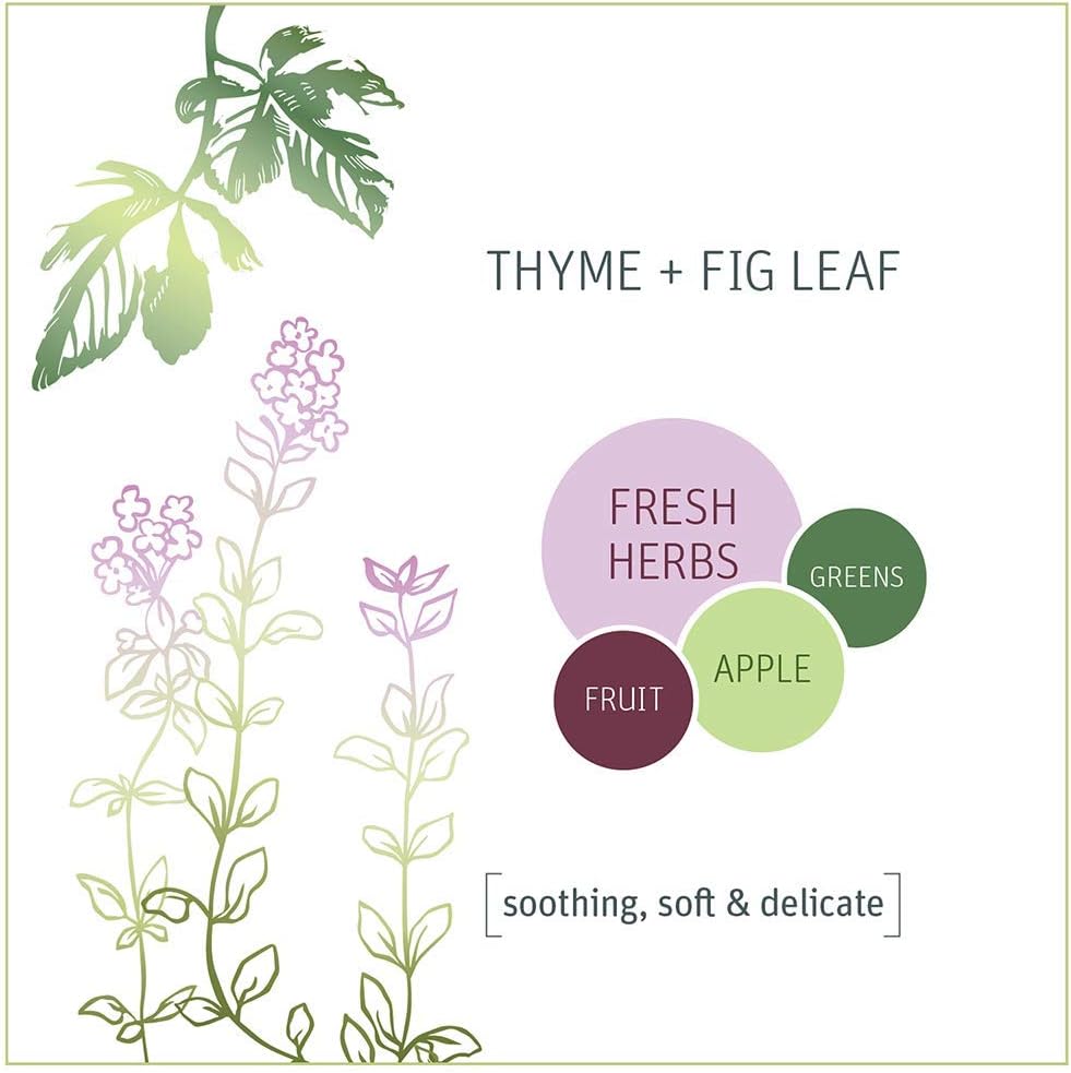 Air Freshner, Thyme Fig Leaf