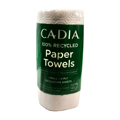 Paper Towel Single Roll 120Ct