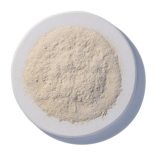 Astragalus Root Powder