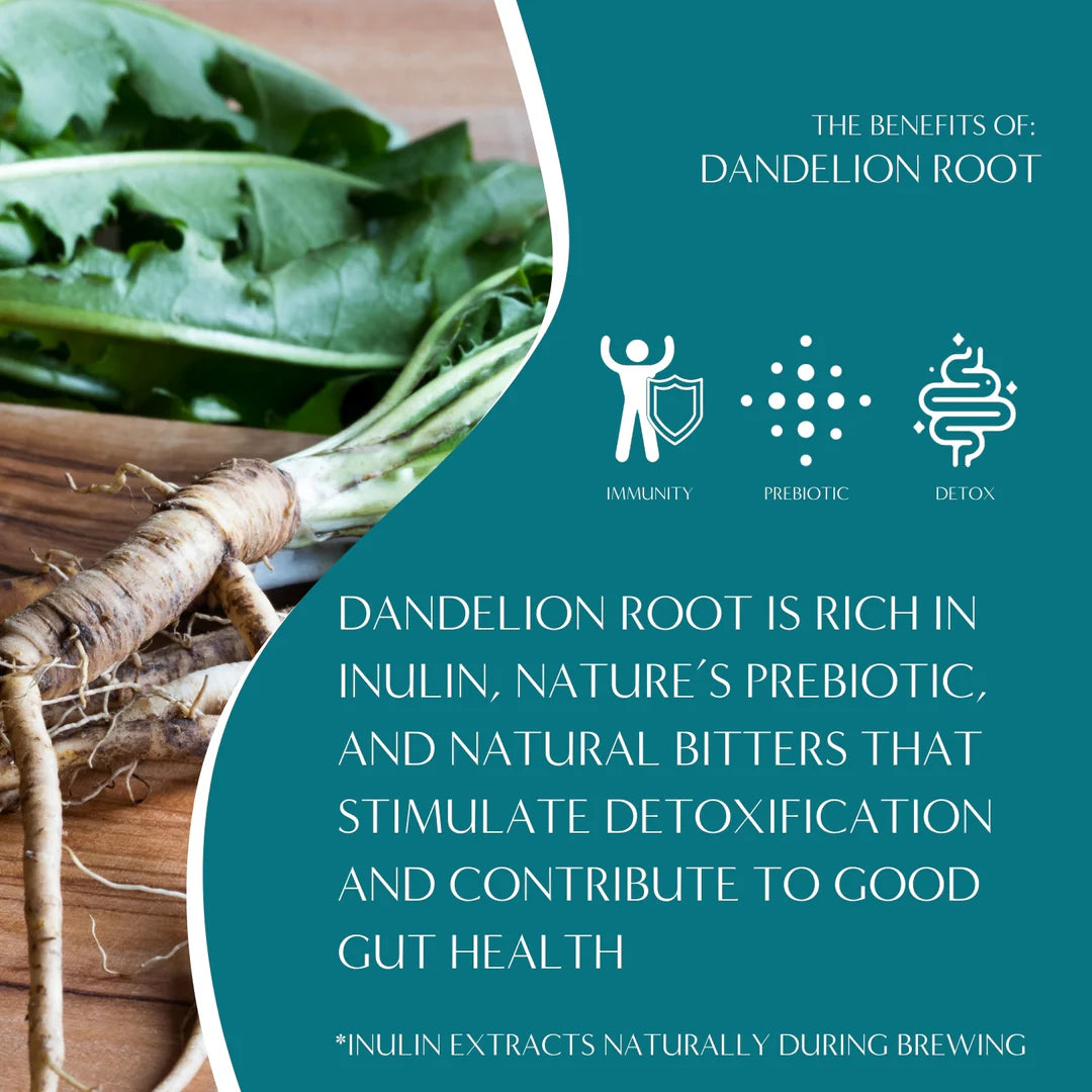 INSTANT HERBAL COFFEE - DANDELION