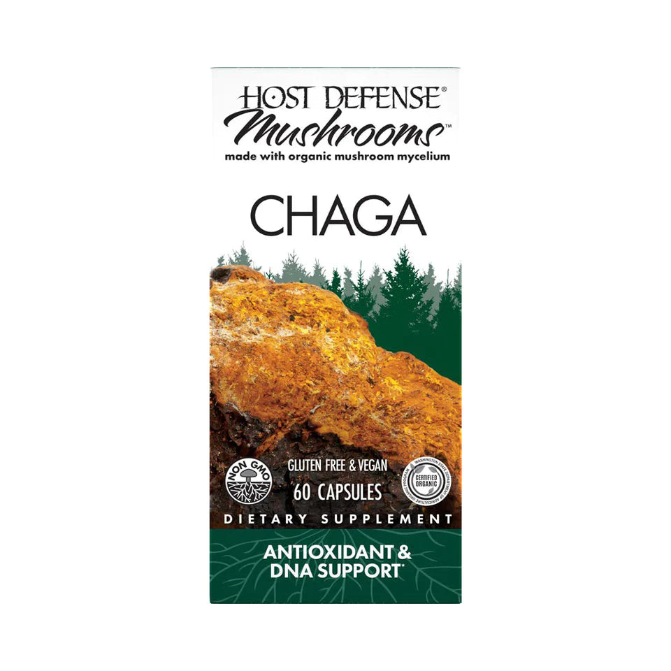 Chaga Mushroom Capsules