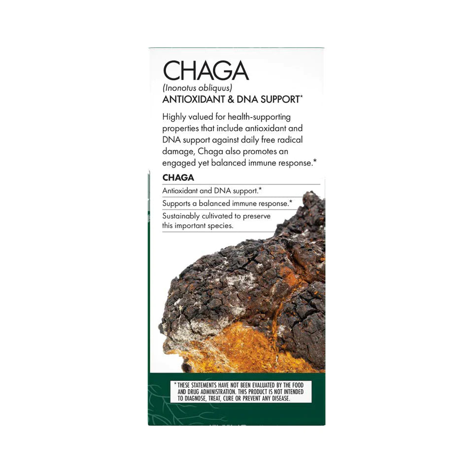 Chaga Mushroom Capsules