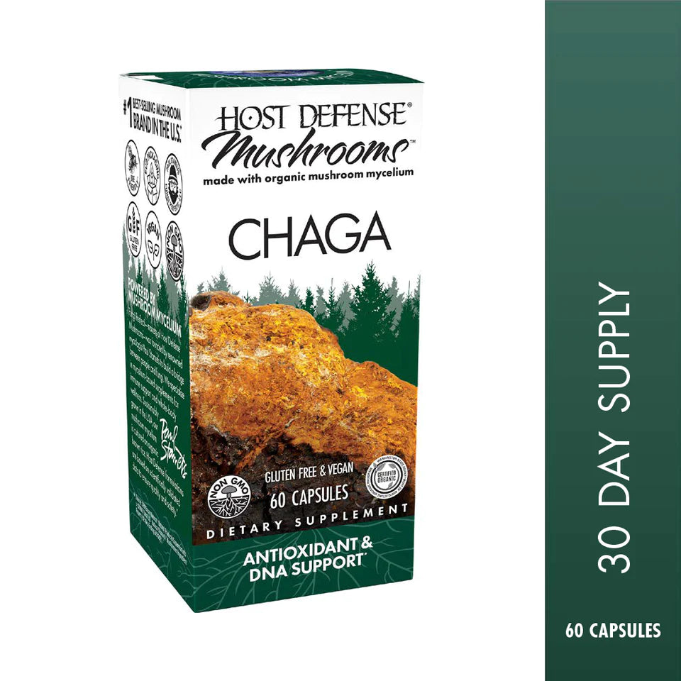 Chaga Mushroom Capsules