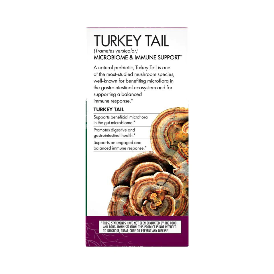 Turkey Tail Mushroom Capsules