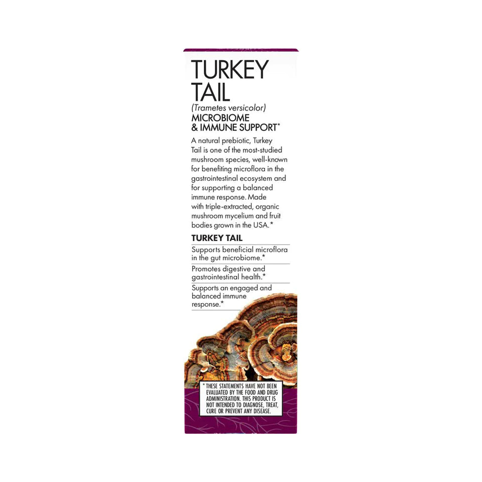 Turkey Tail Mushroom Extract