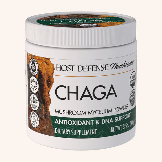 Chaga Powder