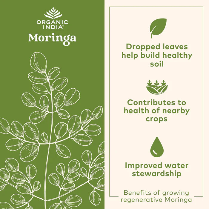Moringa Chocolate Latte - 3.5OZ
