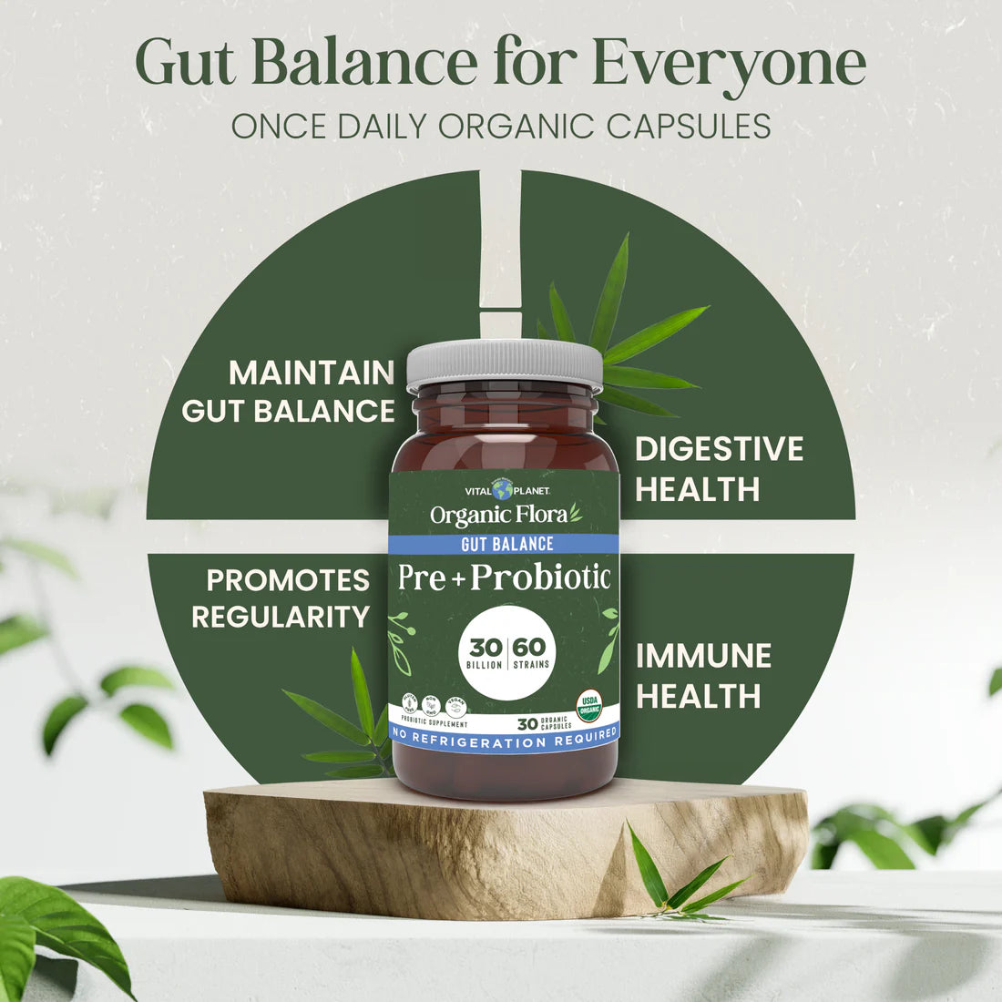ORGANIC FLORA GUT BALANCE SHELF STABLE