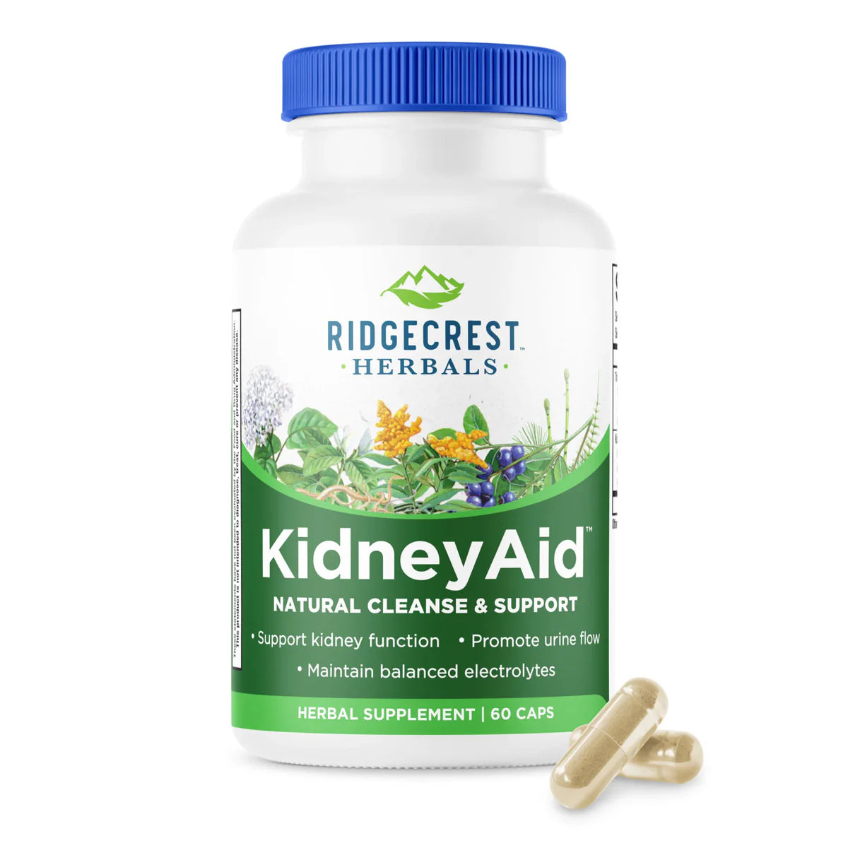 KidneyAid™