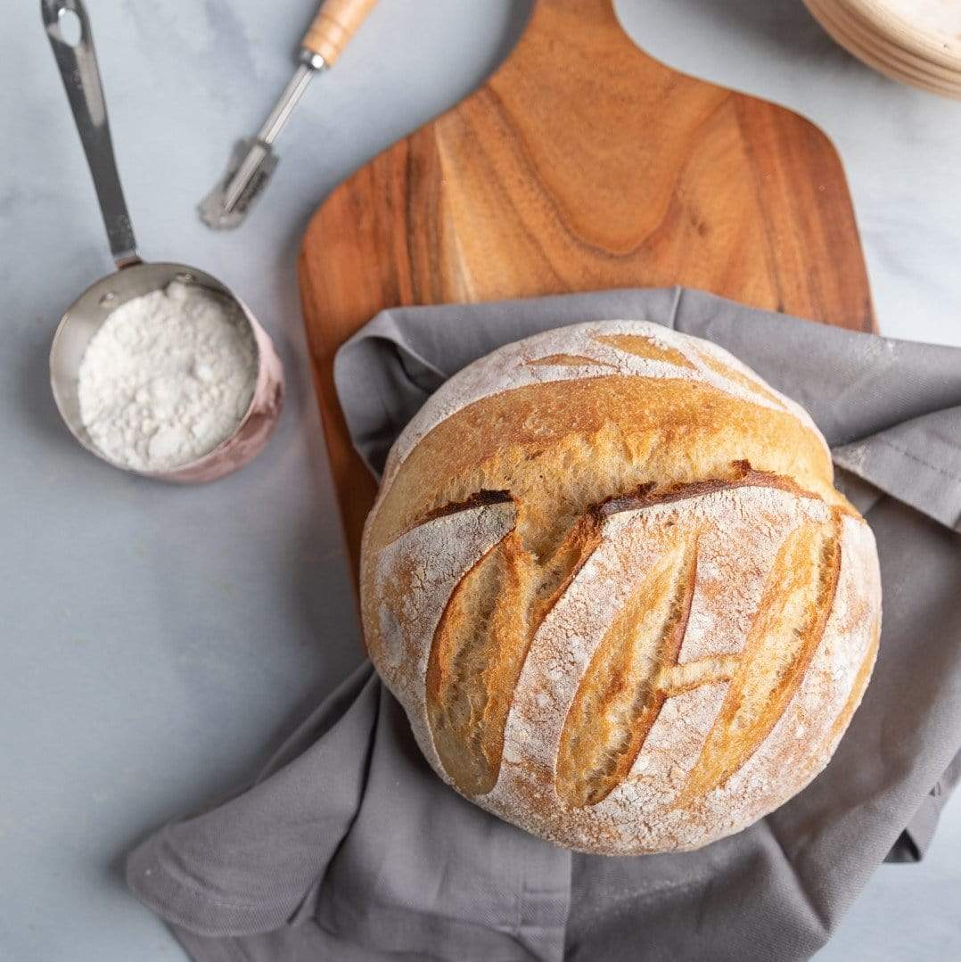 Sourdough Bread Starter