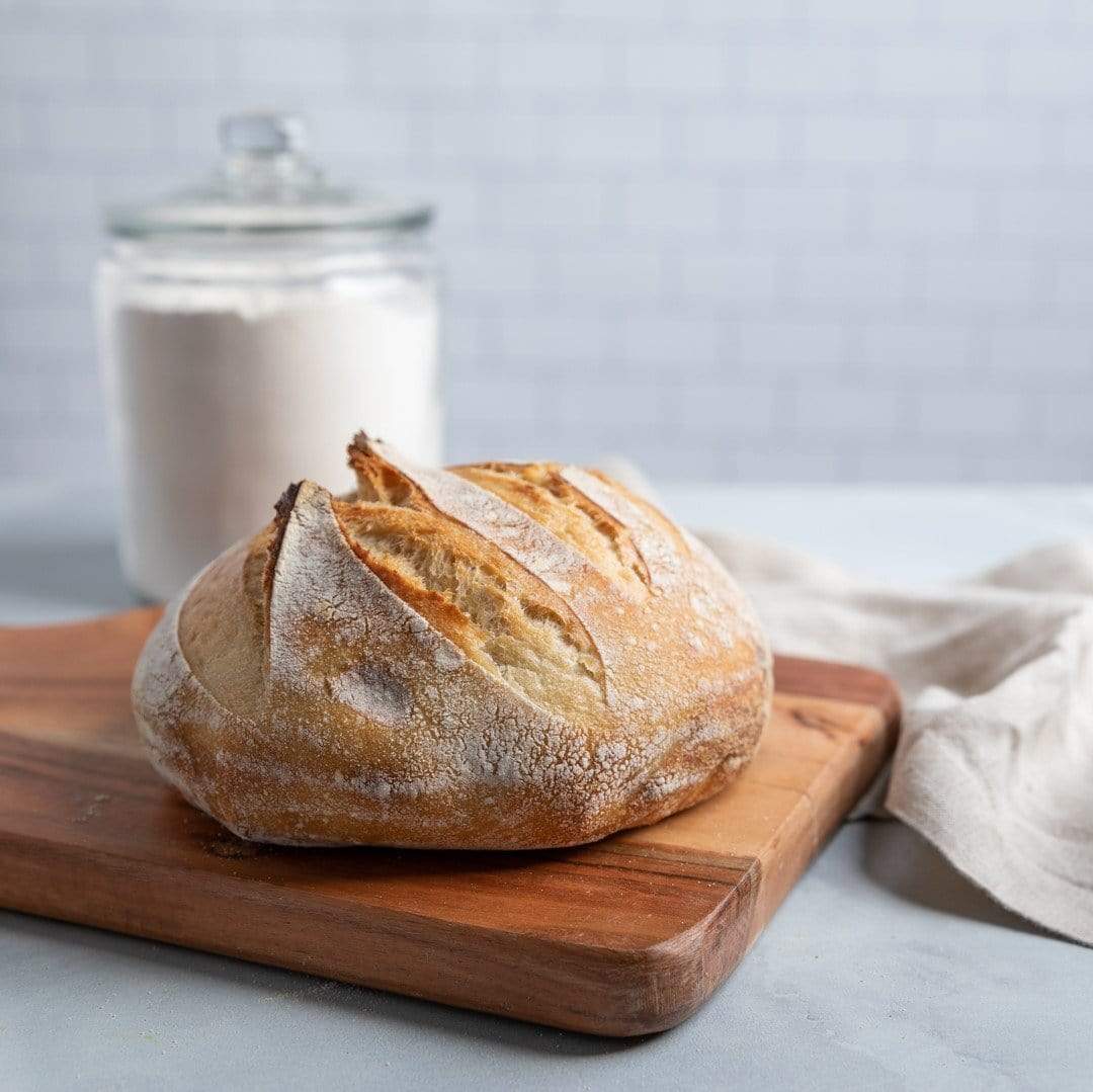 Sourdough Bread Starter