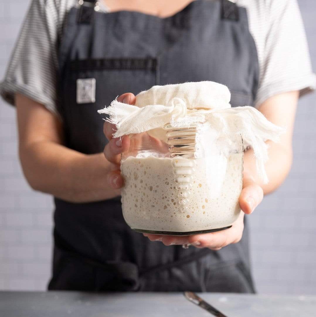 Sourdough Bread Starter