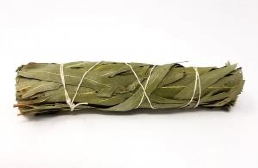 Eucalyptus Smudge Stick (6836415201436)